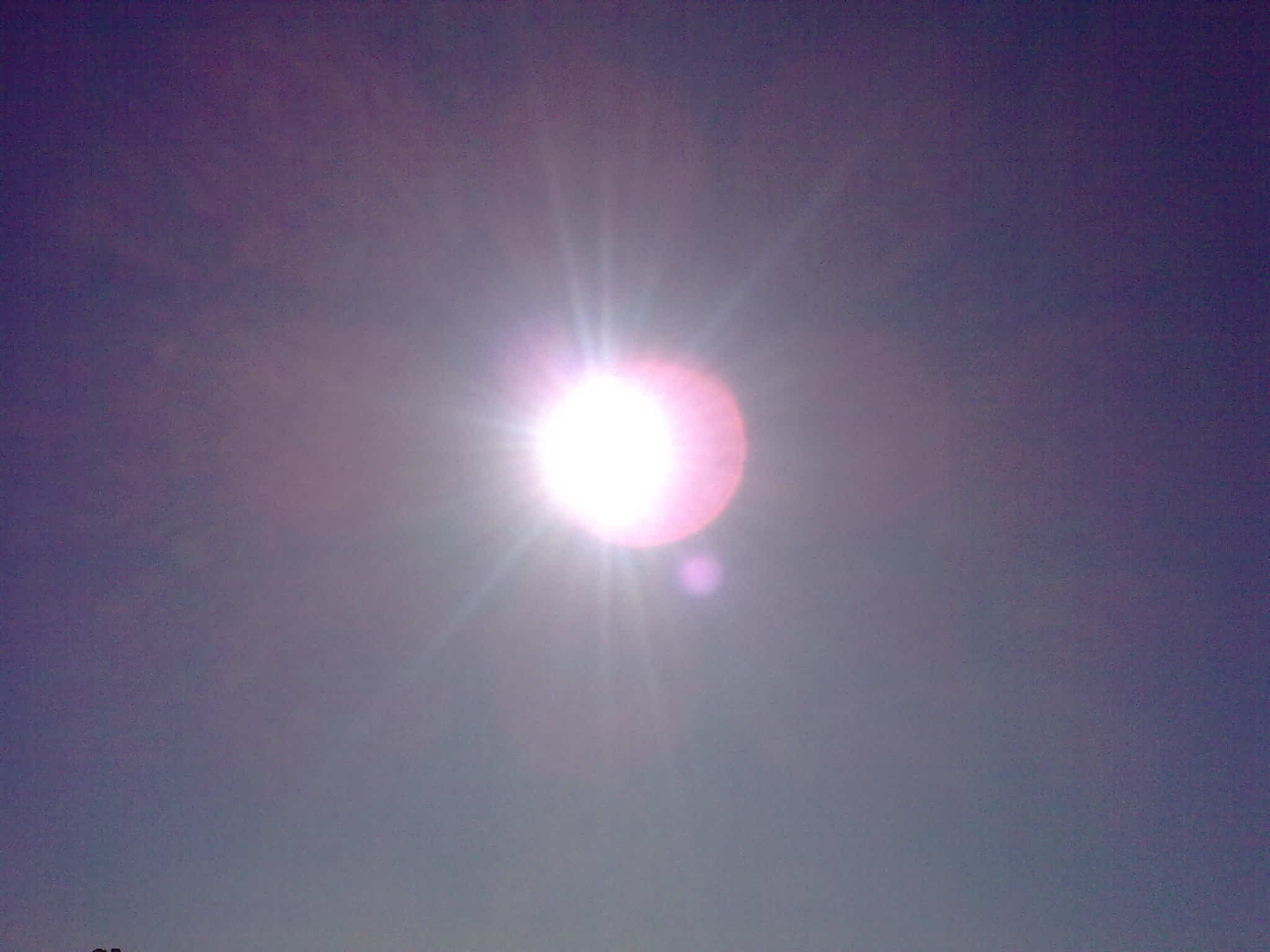 Winter sun