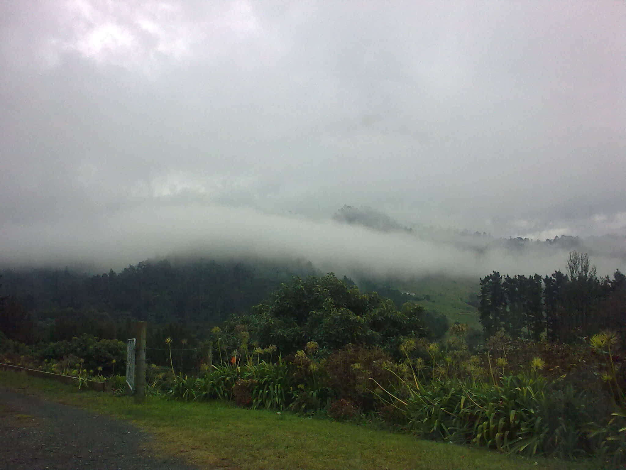 Low cloud