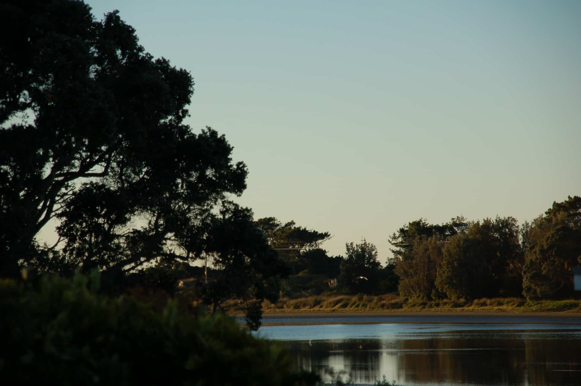 Estuary