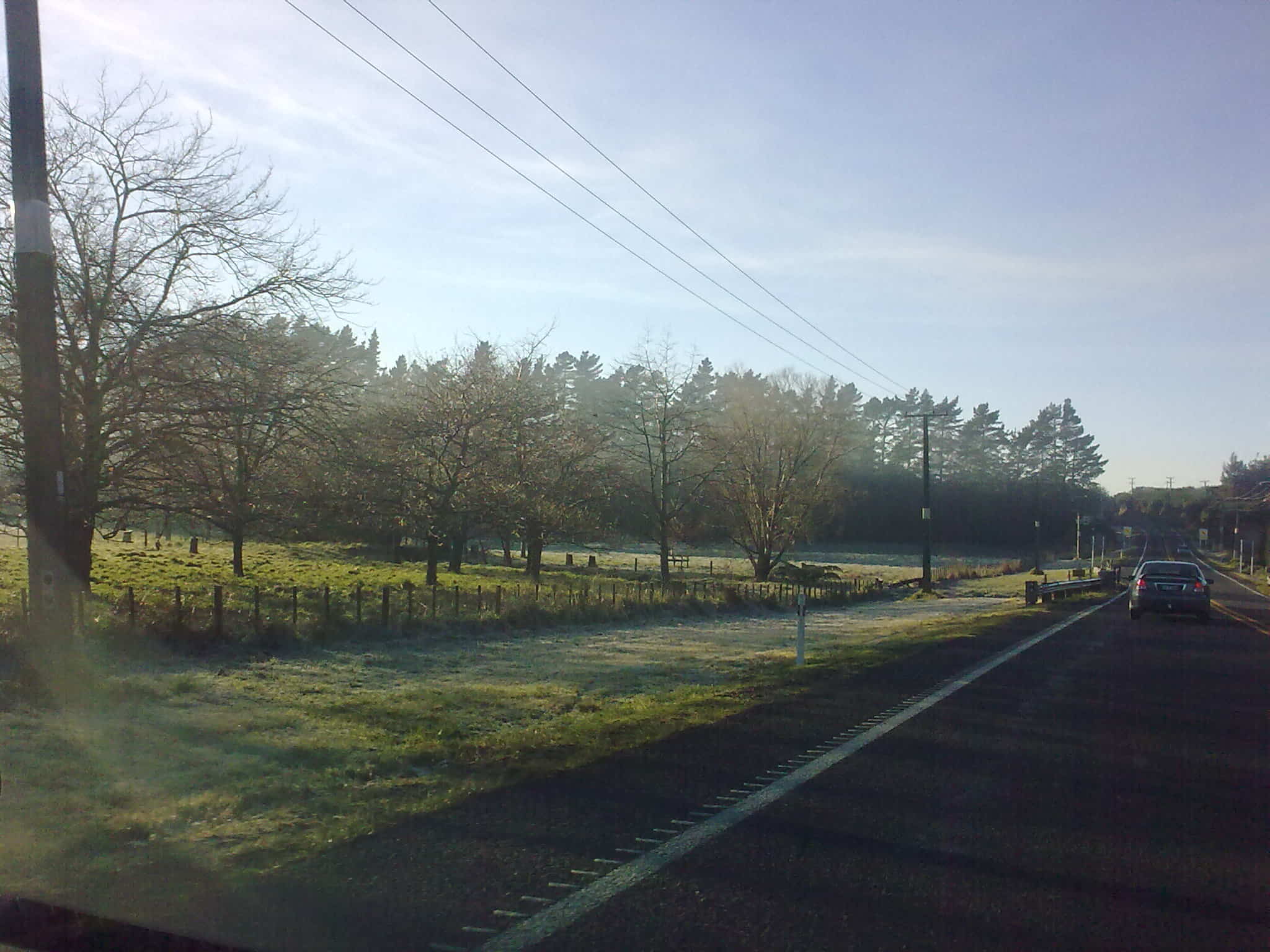 Frosty