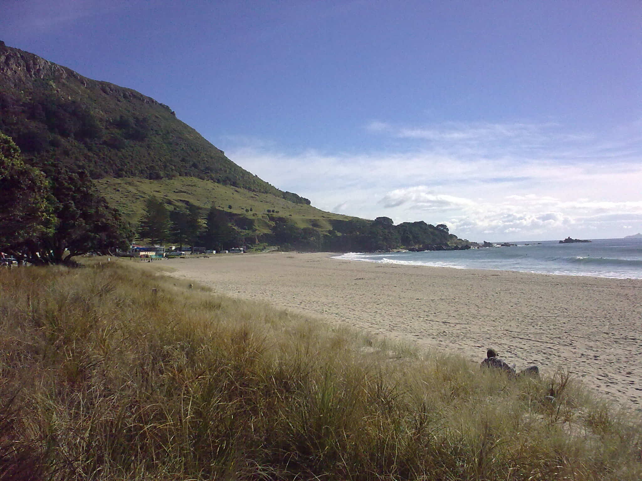 The local beach