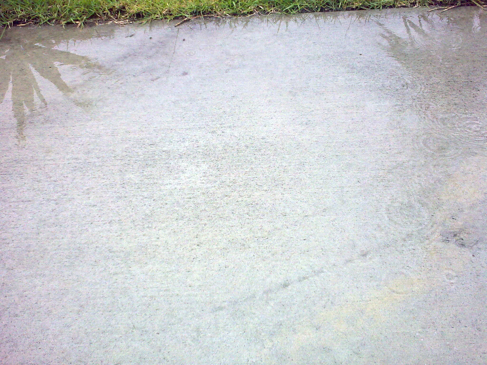 Rain