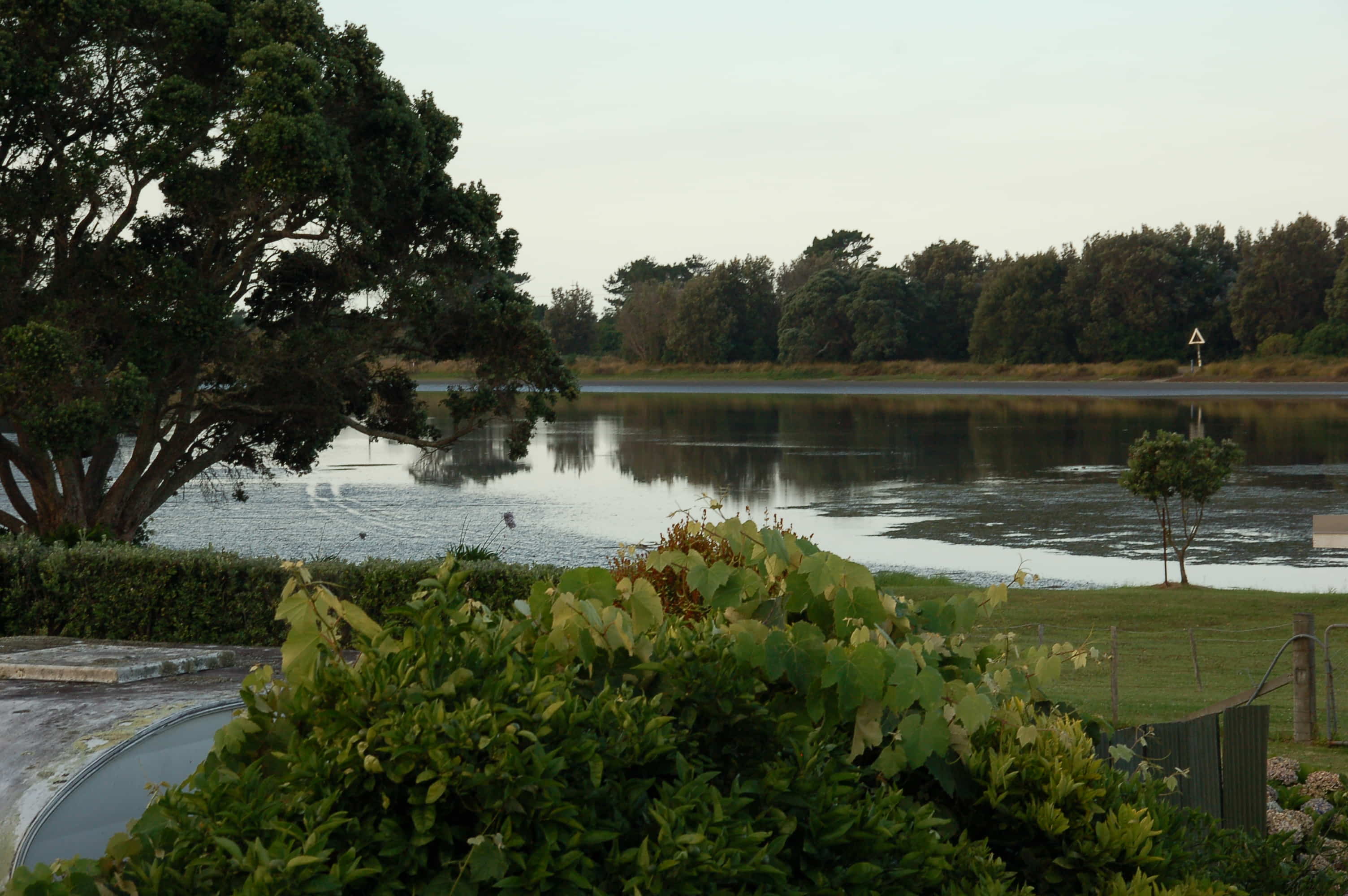 Athenree estuary